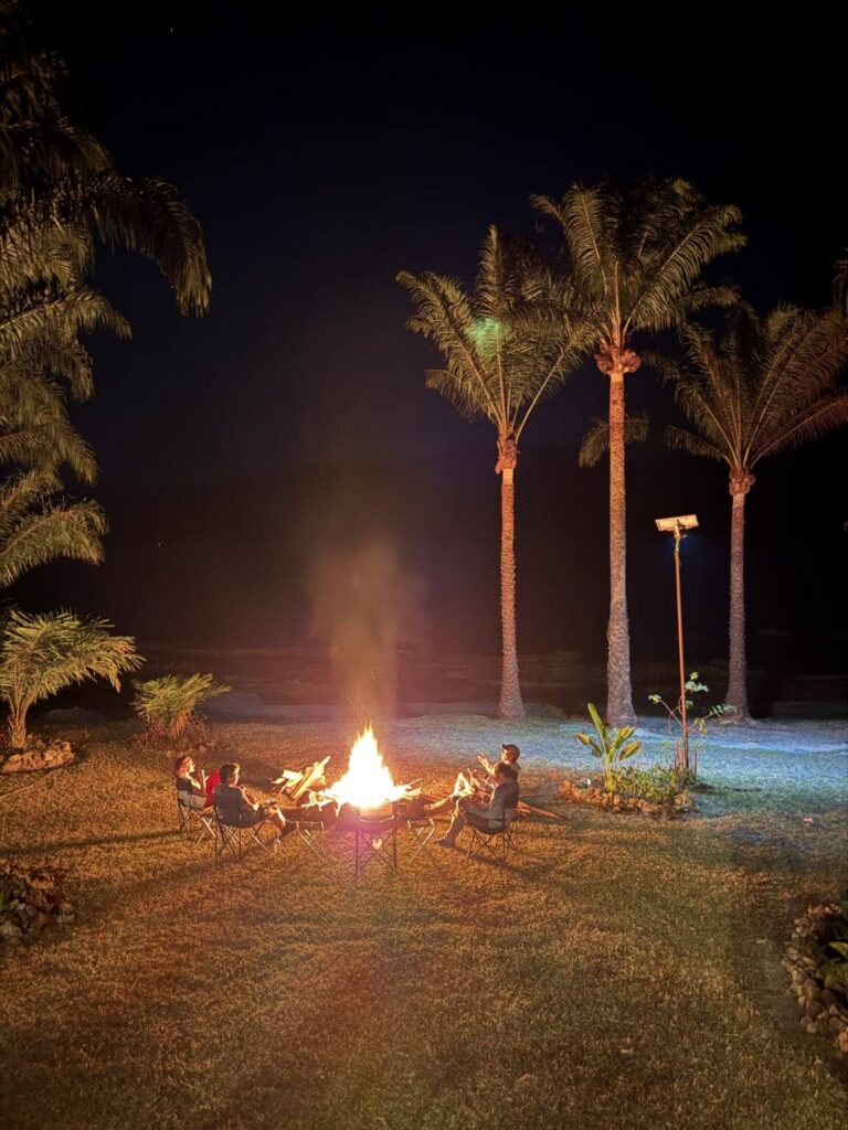 Four people sit around a bright bonfire at night, surrounded by palm trees and lush grass.