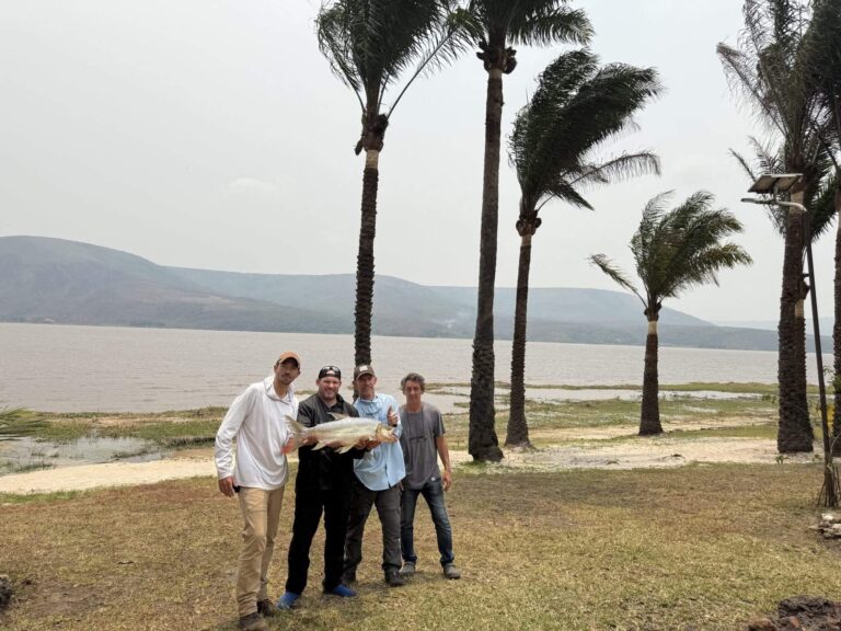 Four men proudly display a large fish in front of palm trees and a lake under a cloudy sky.