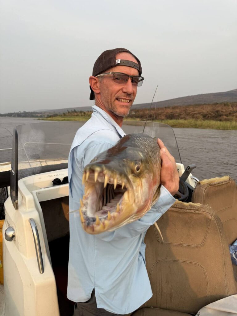 A man in a boat proudly displays a large tigerfish with its mouth open, revealing sharp teeth.