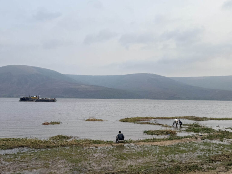 A ferry boat sails on a calm lake with people on the shore collecting vegetation near the water.