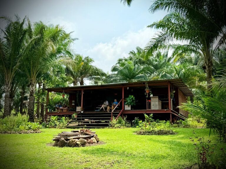 A rustic wooden home with a porch sits surrounded by lush palm trees and vibrant green grass, with people relaxing and a fire pit in the foreground.
